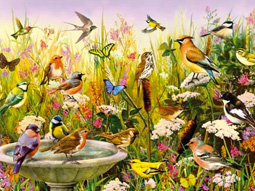 bird themed jigsaw puzzles
