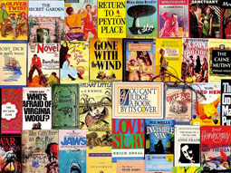 Collections and collages jigsaw puzzles