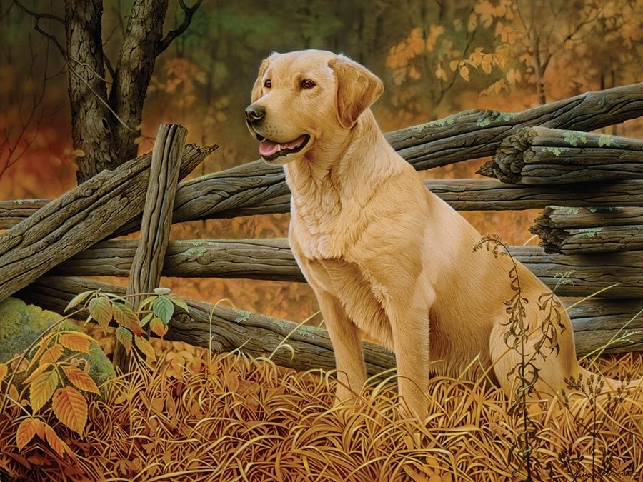 Man's Best Friend - 500pc Jigsaw Puzzle by Cobble Hill (discon)