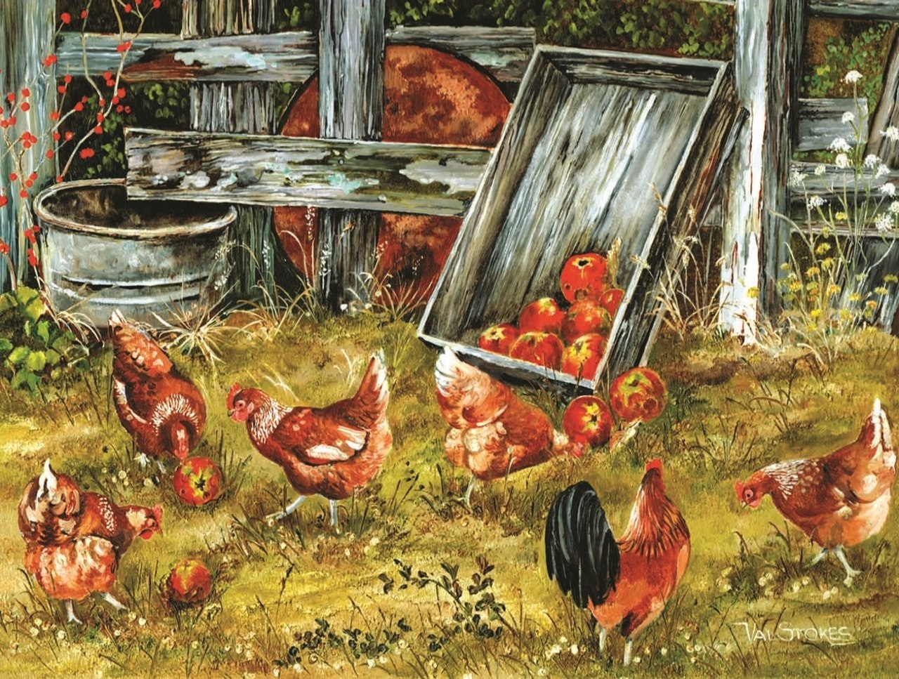 Pickin Chickens - 500pc Jigsaw Puzzle By Sunsout  			  					NEW