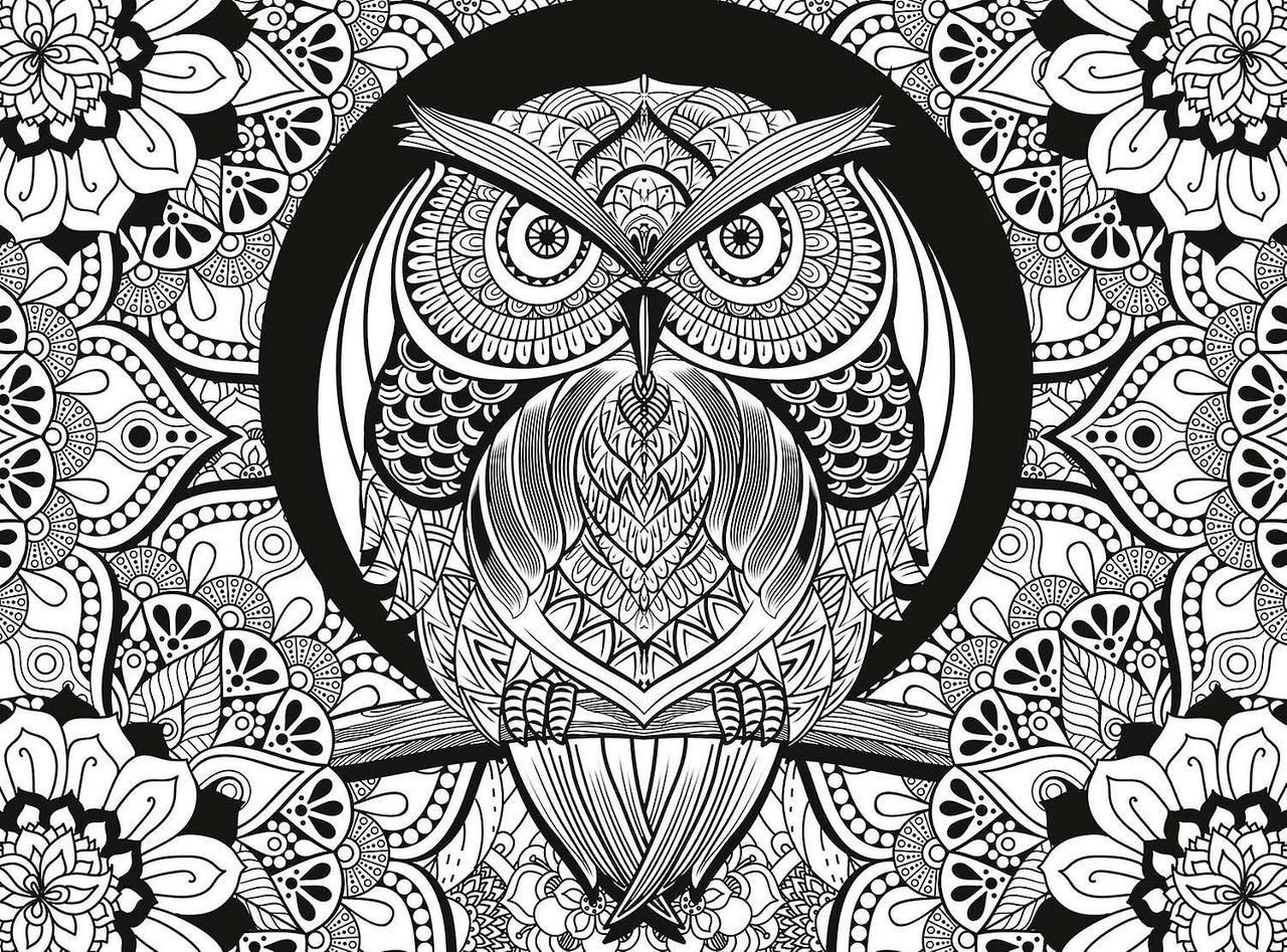 3D Color Therapy: Owl - 500 pc Jigsaw Puzzle by Clementoni  			  					NEW - image 2