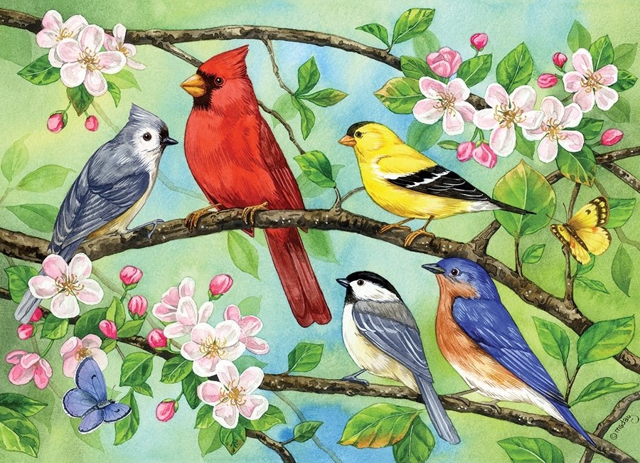 Bloomin' Birds - 350pc Family Jigsaw Puzzle by Cobble Hill  			  					NEW