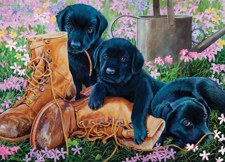 Trouble in the Garden - 500pc Jigsaw Puzzle By Cobble Hill  			  					NEW