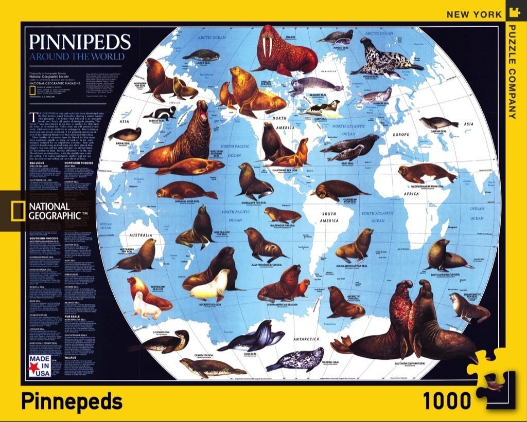 Pinnipeds - 1000pc Jigsaw Puzzle by New York Puzzle Company  			  					NEW - image 1
