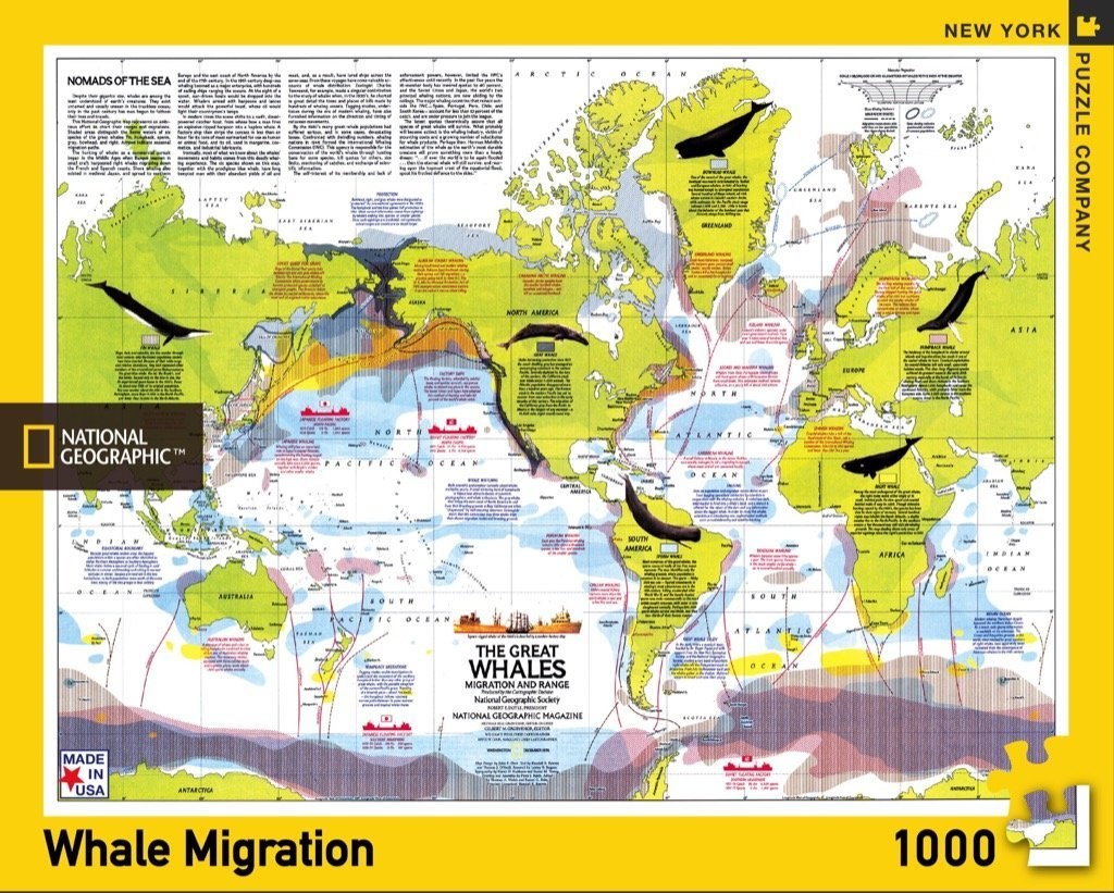 Whale Migration - 1000pc Jigsaw Puzzle by New York Puzzle Company  			  					NEW - image 1