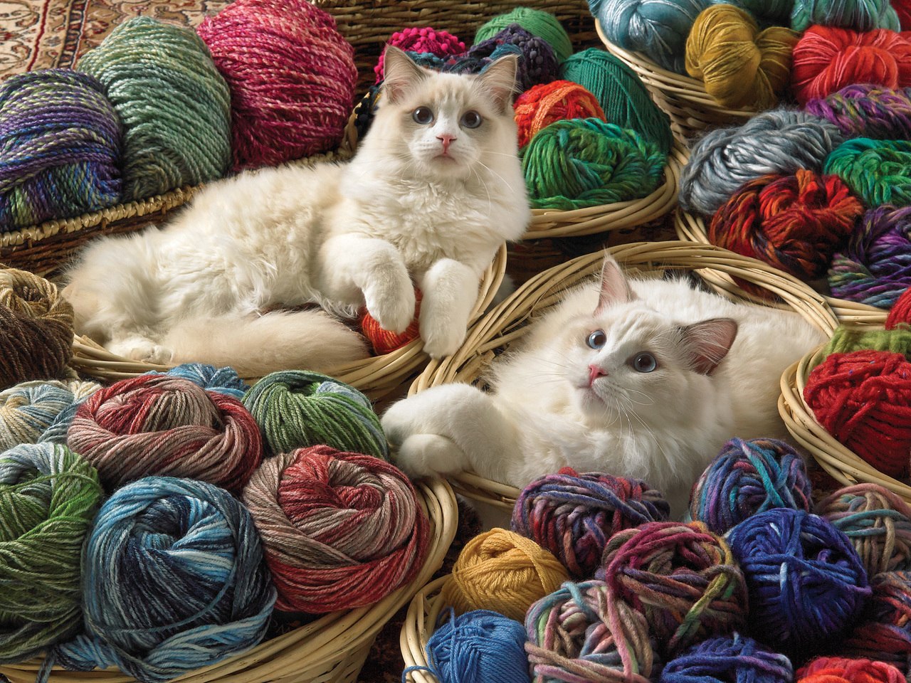 Ragdolls - 275pc Easy Handling Puzzle by Cobble Hill  			  					NEW