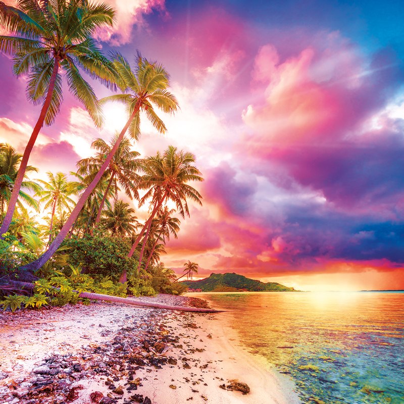Escape to Paradise - 300pc Large Format Jigsaw Puzzle by Buffalo Games
