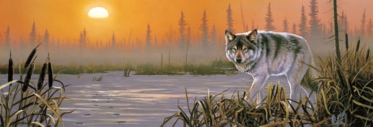 Winter Sunrise - 500pc Jigsaw Puzzle By Sunsout  			  					NEW