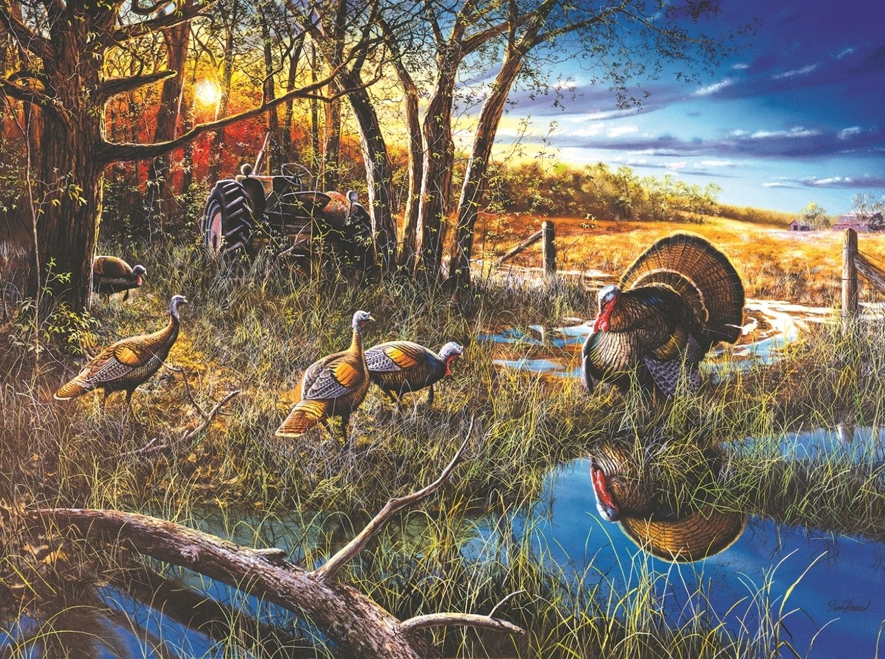 The Challenge - 1000pc Jigsaw Puzzle By Sunsout  			  					NEW