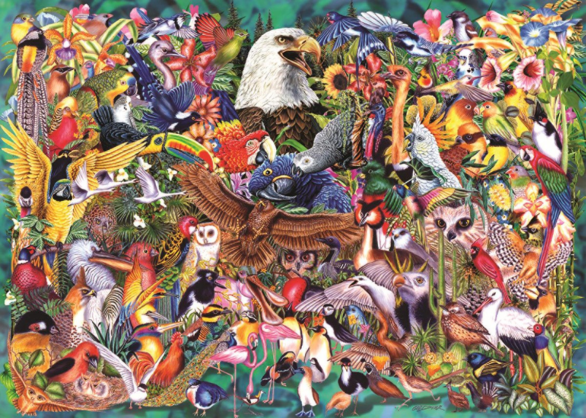 Animal Kingdom - 1000pc Jigsaw Puzzle By Jumbo  			  					NEW