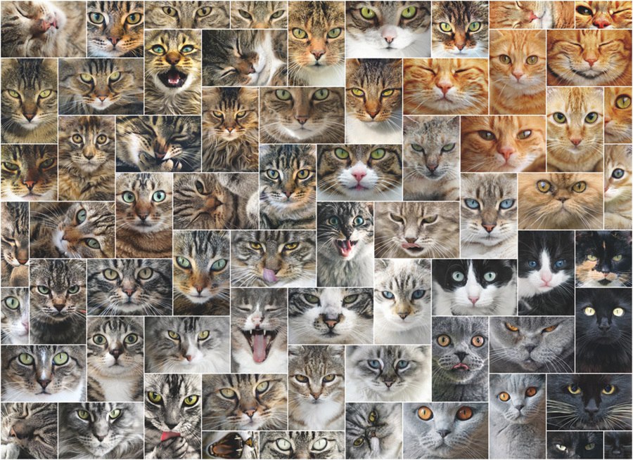 Cat Faces - 1000pc Jigsaw Puzzle By D-Toys  			  					NEW