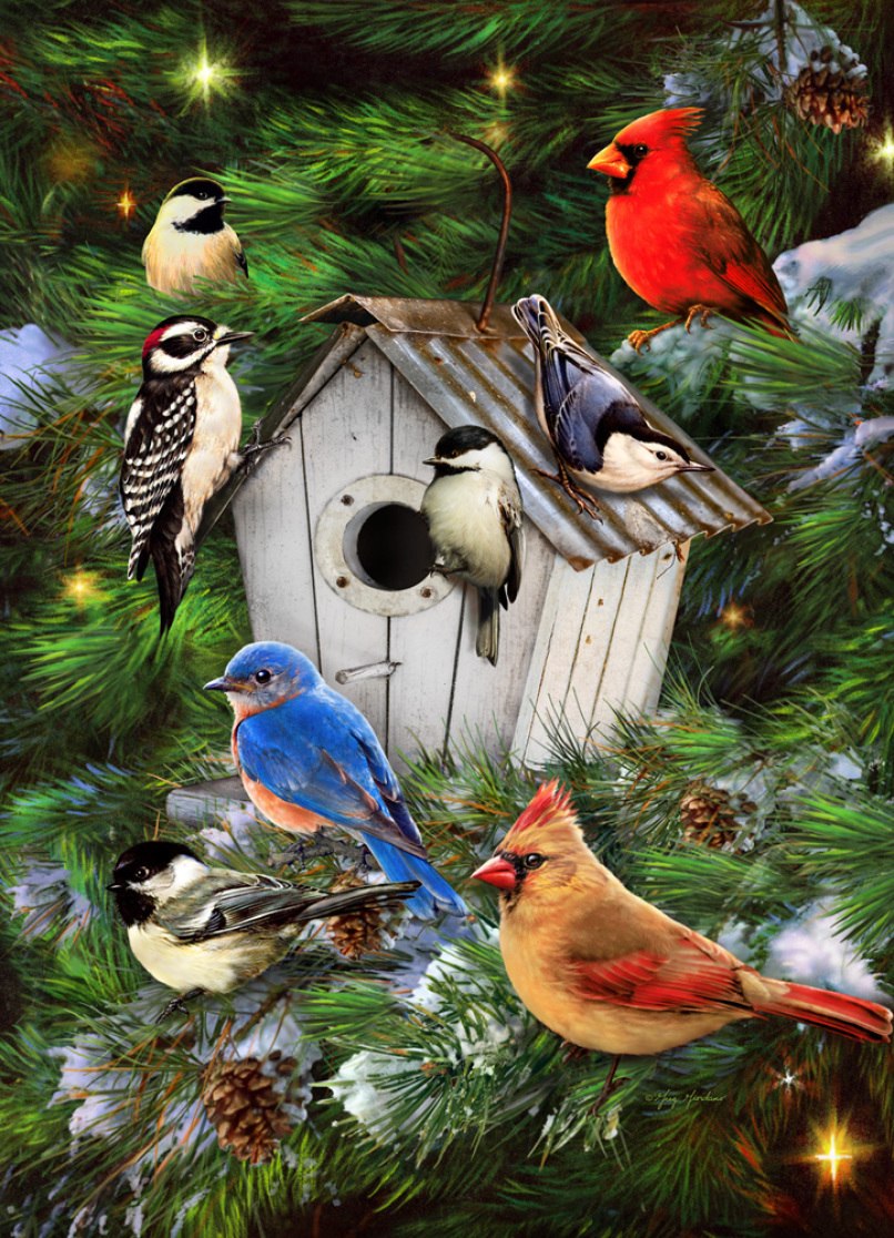 Winter Birdhouse - 1000pc Jigsaw Puzzle by Vermont Christmas Company  			  					NEW