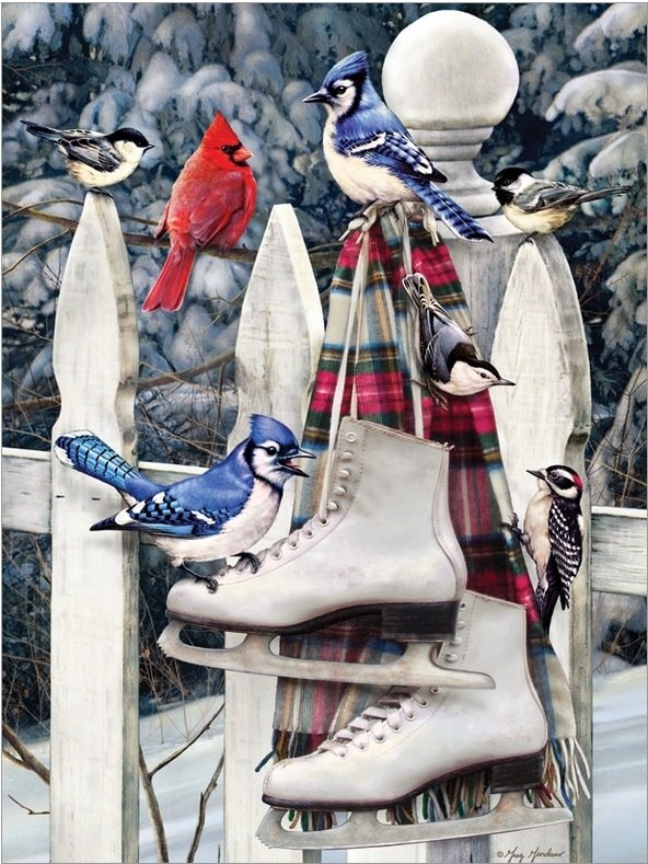Birds with Skates - 500pc Jigsaw Puzzle By Cobble Hill  			  					NEW