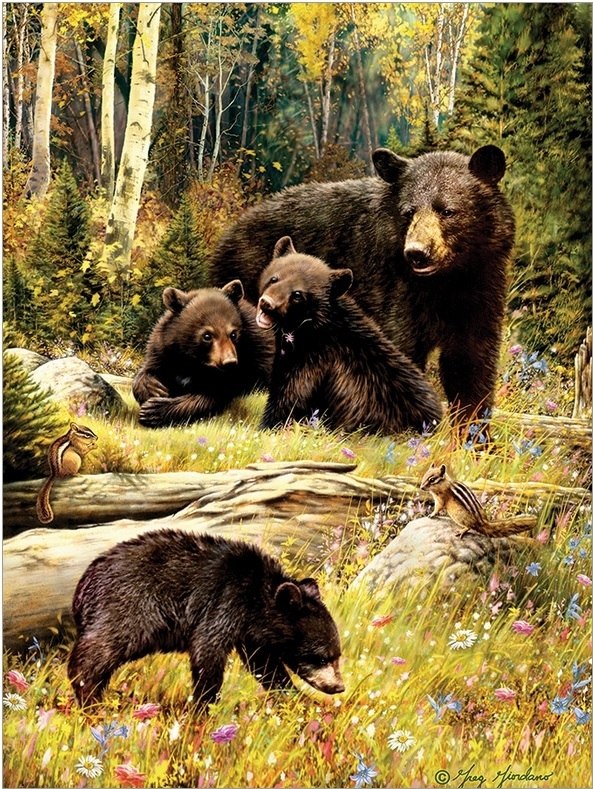 Bears - 500pc Jigsaw Puzzle by Cobble Hill  			  					NEW