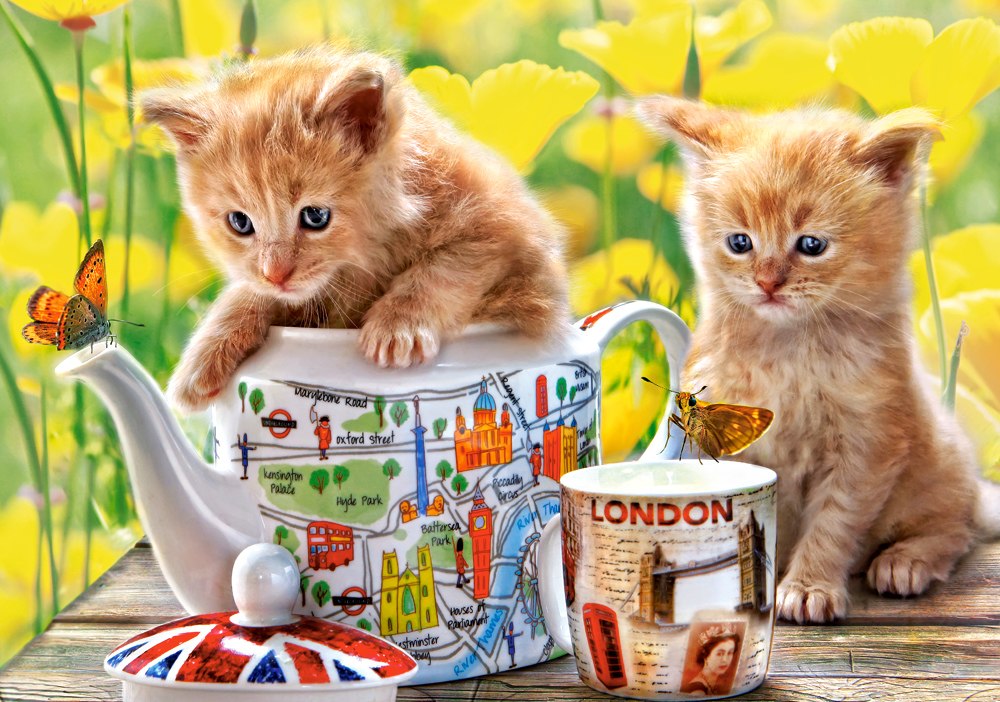 Tea Time - 500pc Jigsaw Puzzle By Castorland