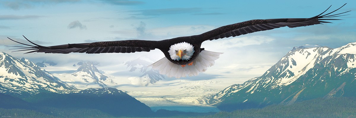 Eagle - 1000pc Jigsaw Puzzle by Eurographics
