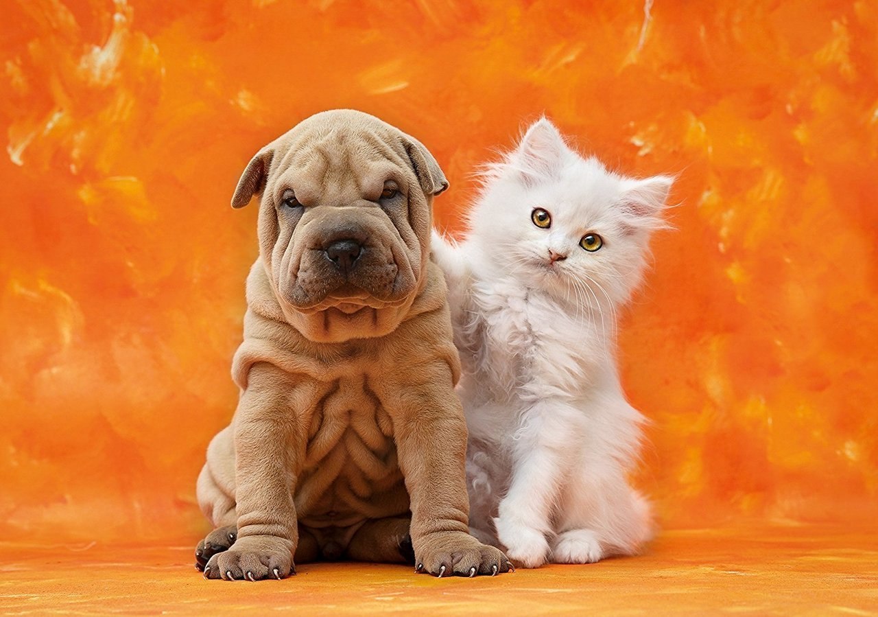 So Cute - 1500pc Jigsaw Puzzle by Clementoni