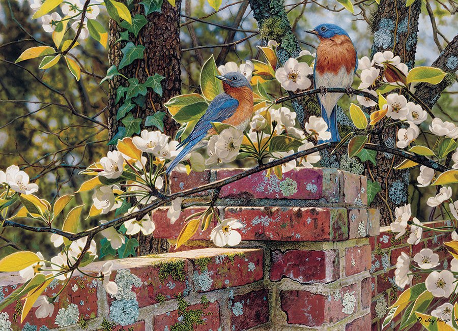 Backyard Blues - 1000pc Jigsaw Puzzle by Cobble Hill