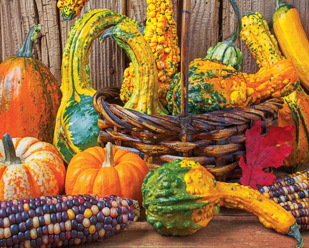 Harvest Colors - 1000pc Jigsaw Puzzle By Springbok