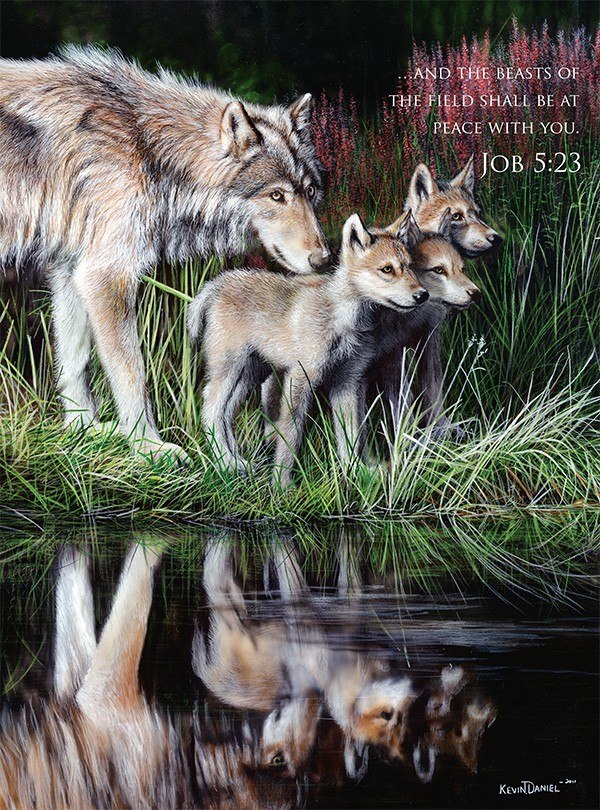 Reflections - 1000pc Jigsaw Puzzle by Lafayette Puzzle Factory