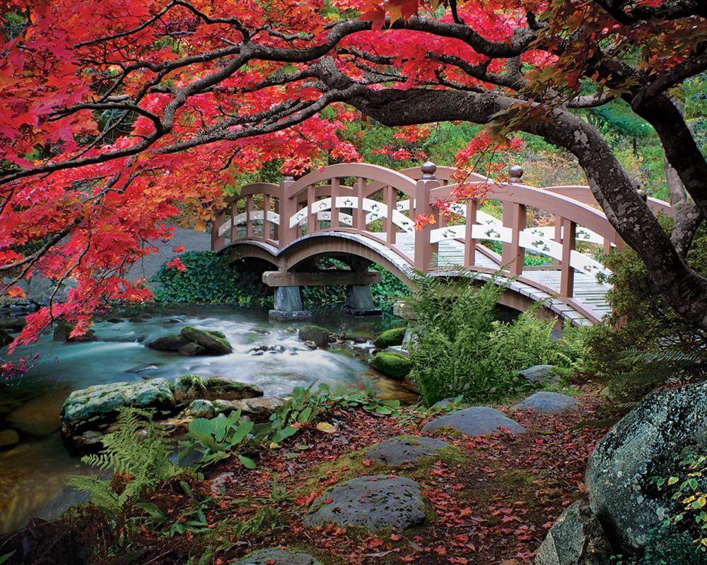 Hatley Park - 350pc Jigsaw Puzzle by Springbok