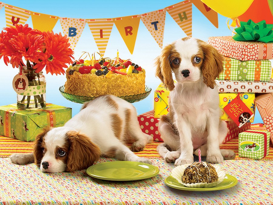 Every Dog Has Its Day - 275pc Easy Handling Jigsaw Puzzle by Cobble Hilly