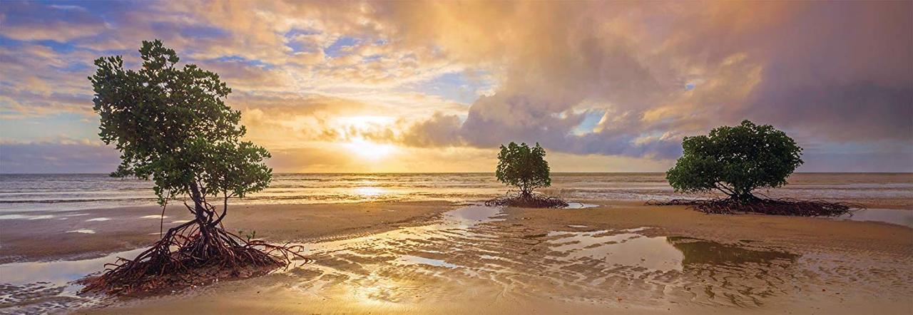 Cape Tribulation, Daintree National Park, Queensland, Australia - 1000pc Jigsaw Puzzle by Schmidt  			  					NEW