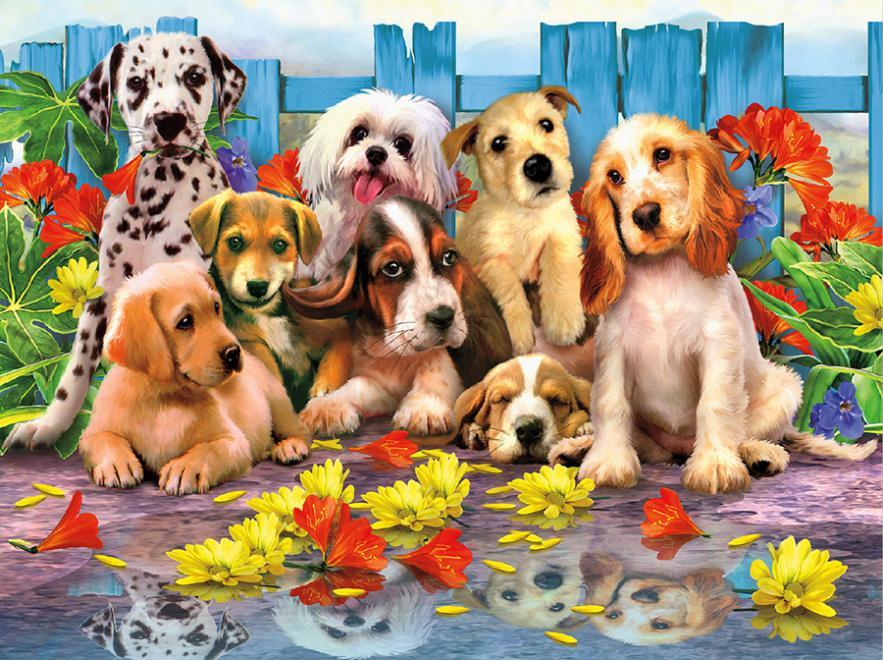Harmony: Who Dunnit - 550pc Jigsaw Puzzle by Ceaco