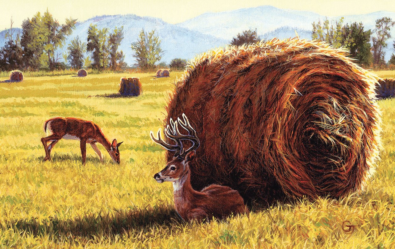 Made in the Shade - 550pc Jigsaw Puzzle By Sunsout  			  					NEW