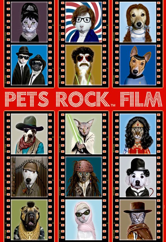 Pets Rock Film - 500pc Jigsaw Puzzle By Educa