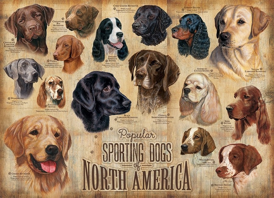 Sporting Dogs - 1000pc Jigsaw Puzzle by Cobble Hill  			  					NEW - image 2