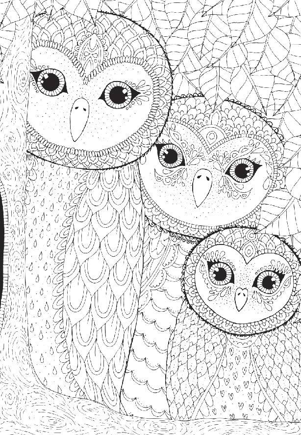 Owls Family - 260pc Jigsaw Puzzle by Anatolian