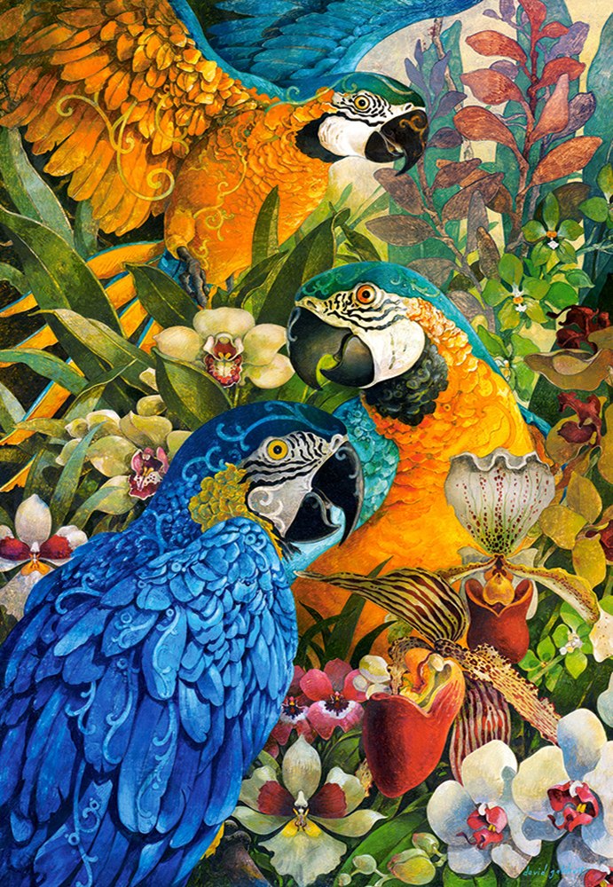 Amazon - 1000pc Jigsaw Puzzle By Castorland