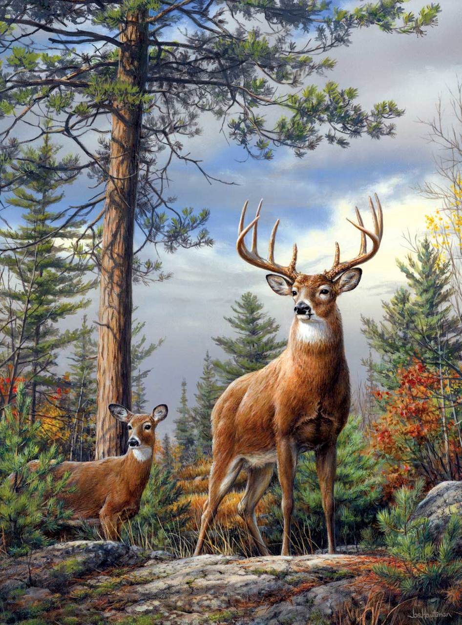 Hautman Brothers: Standing Proud - 1000pc Jigsaw Puzzle By Buffalo Games