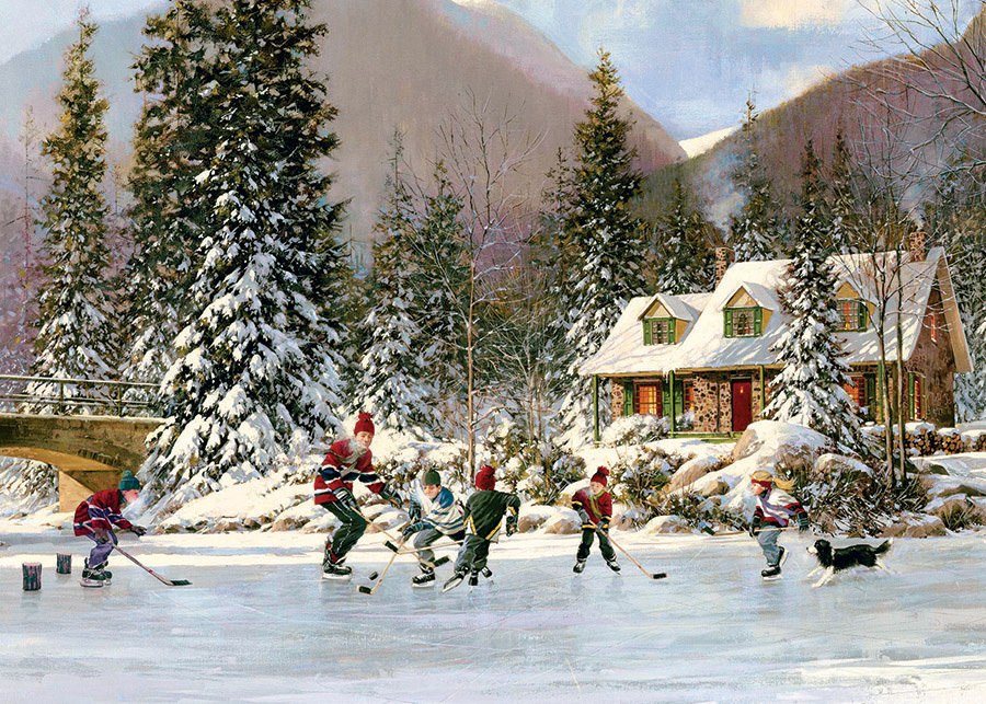 Hockey Pond - 35pc Tray Puzzle by Cobble Hill