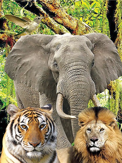 3D Puzzle: Jungle - 48pc Lenticular Jigsaw Puzzle  			  					NEW