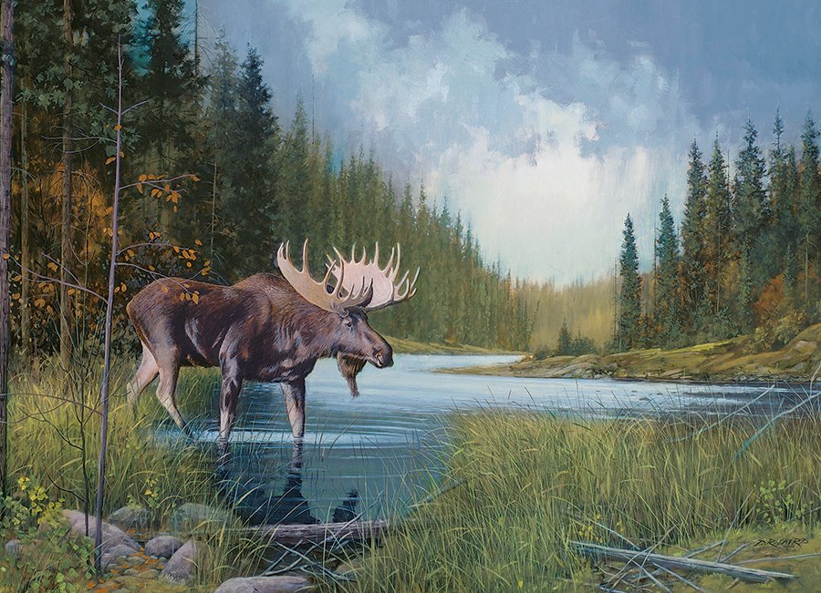 Moose Lake - 1000pc Jigsaw Puzzle by Cobble Hill