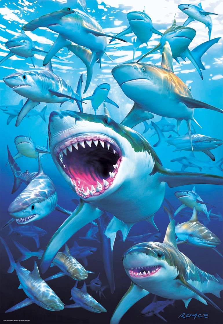 Shark Club - 500pc Jigsaw Puzzle by Educa
