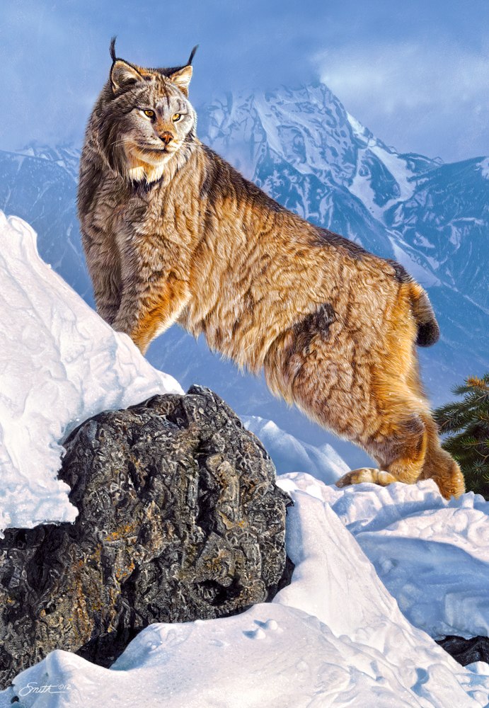 Austere Ascent - 1000pc Jigsaw Puzzle By Castorland