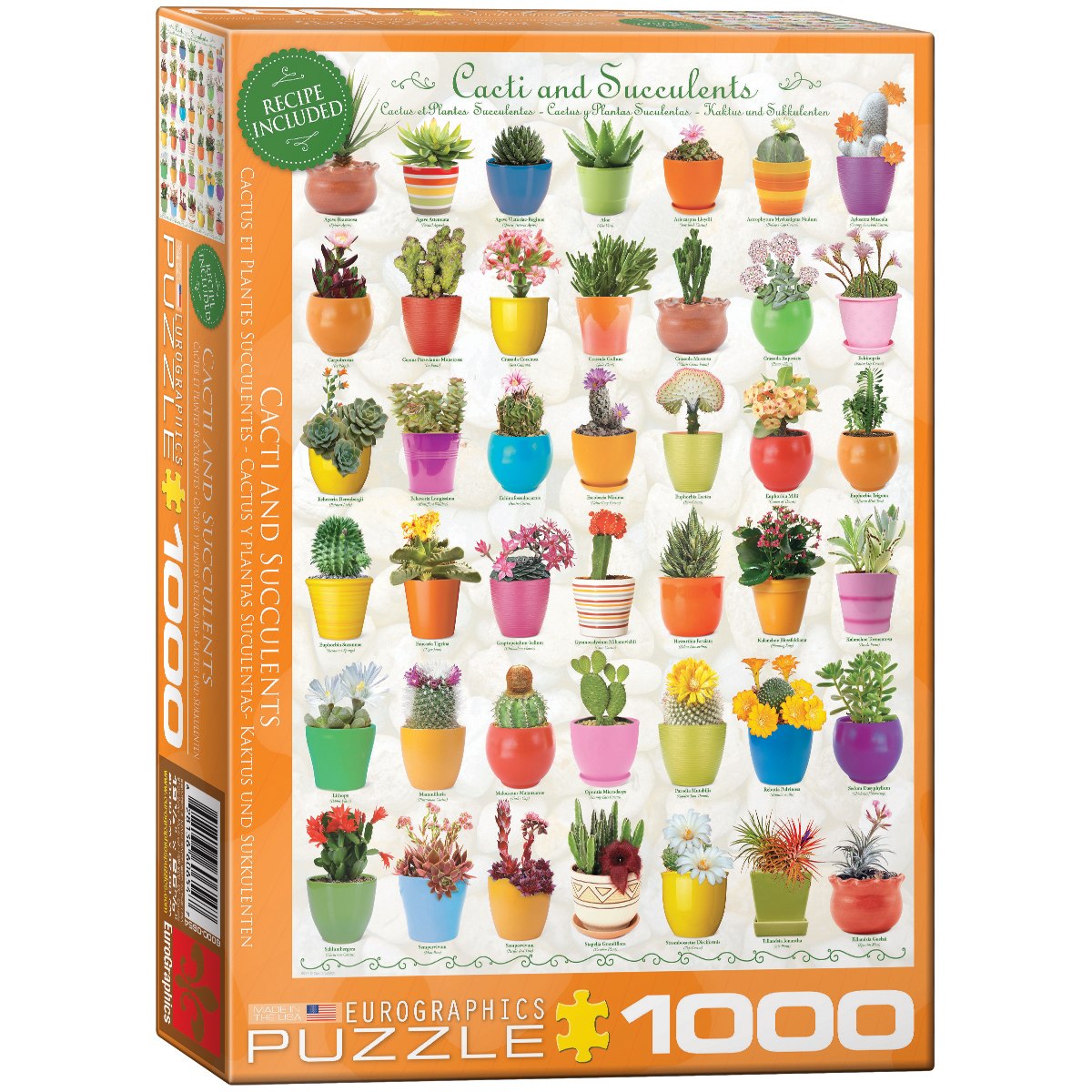 Cacti & Succulents - 1000pc Jigsaw Puzzle by Eurographics