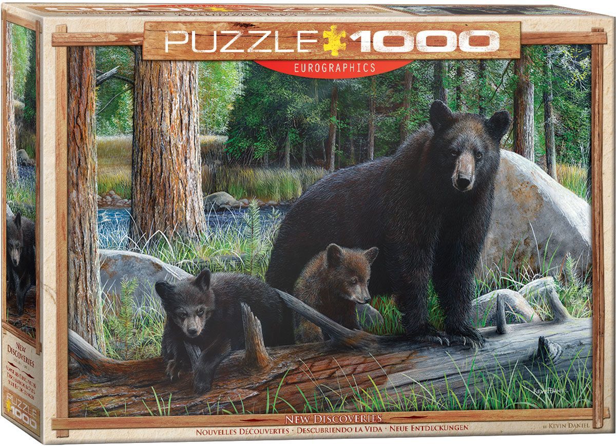 Daniel: New Discoveries - 1000pc Jigsaw Puzzle by Eurographics  			  					NEW - image 3