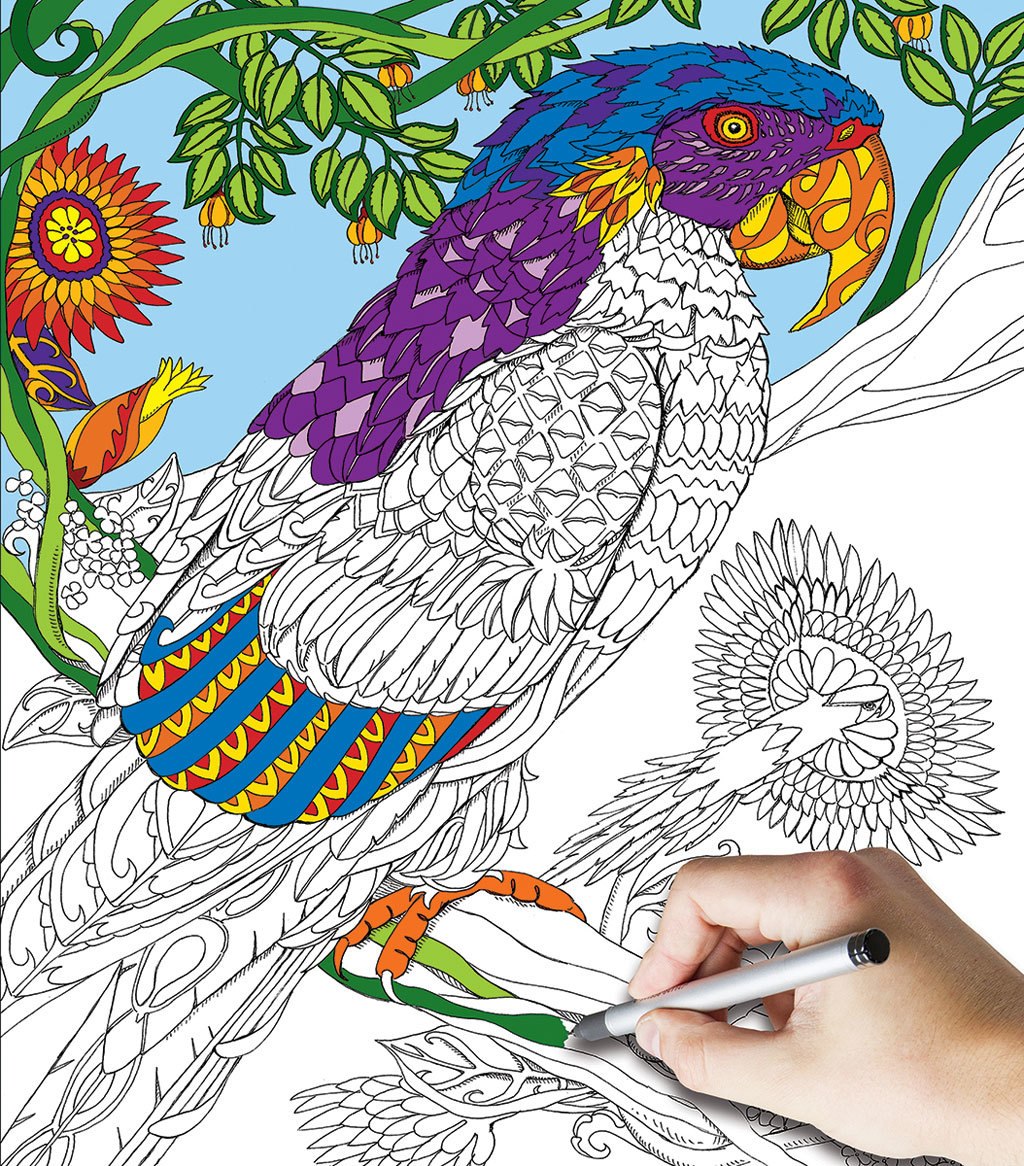 Parrot-2 Sided Coloring Puzzle - 300pc Jigsaw Puzzle By White Mountain