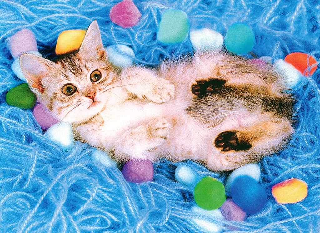 Lovely Kitten - 500pc Jigsaw Puzzle by Tomax