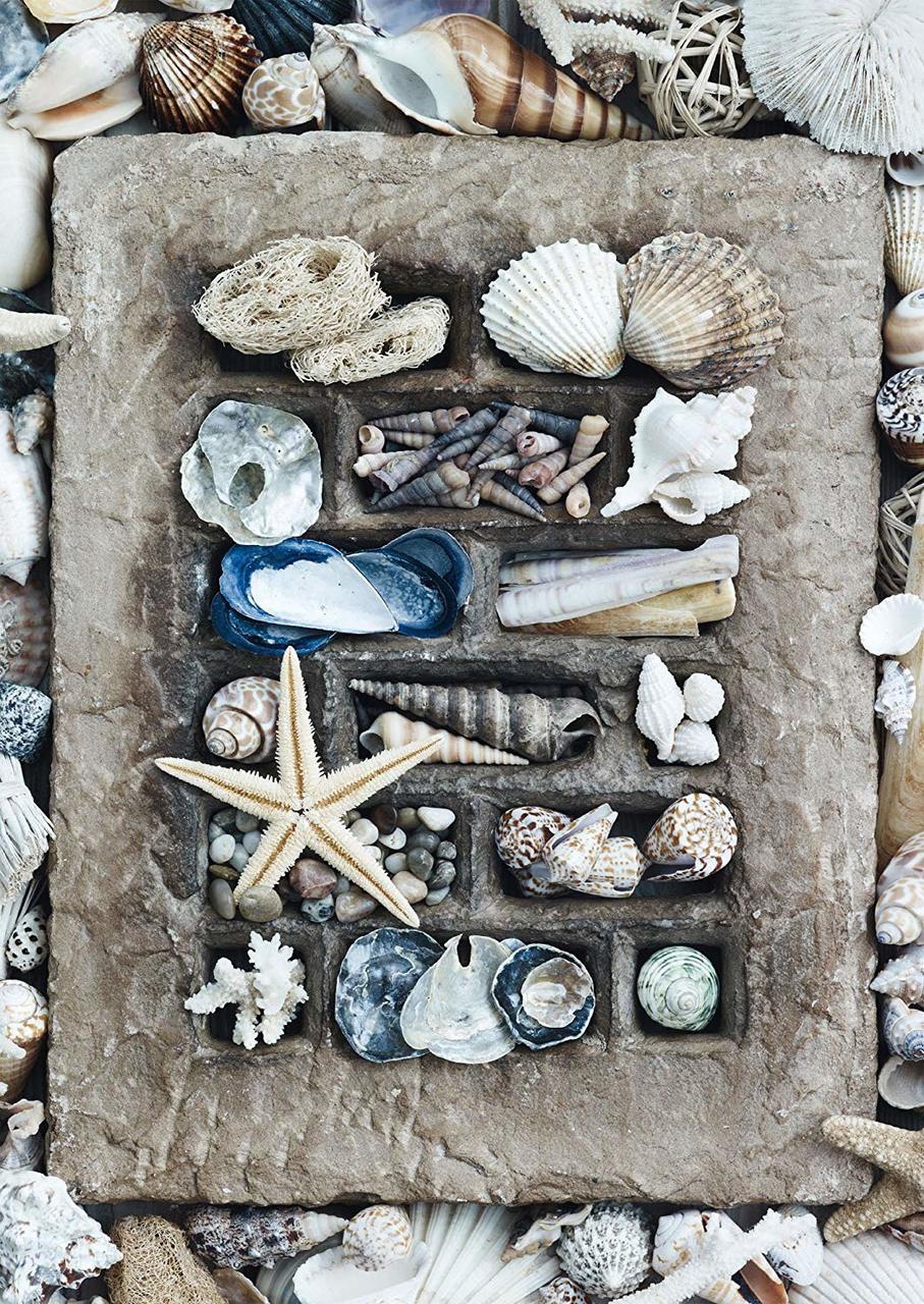 Treasures of the Sea - 500pc Jigsaw Puzzle by Schmidt  			  					NEW