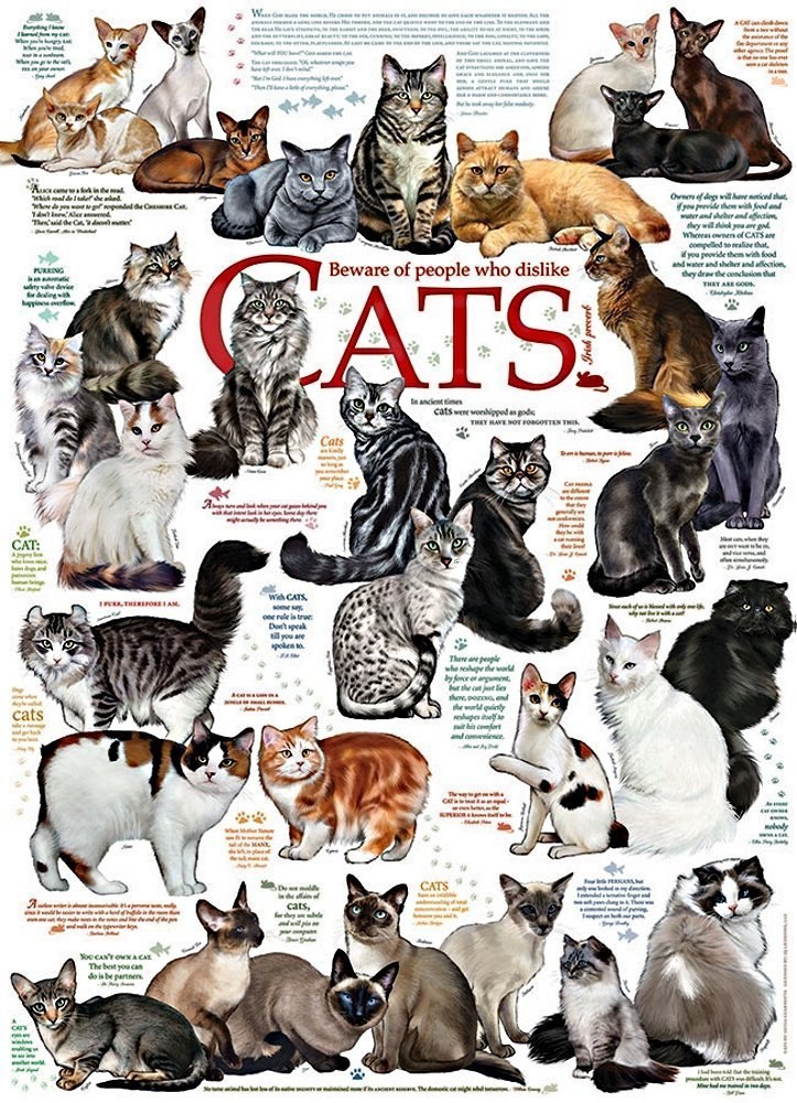 Cat Quotes - 1000pc Jigsaw Puzzle by Cobble Hill