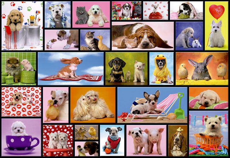 Shared Moments - 1000pc Jigsaw Puzzle By Educa