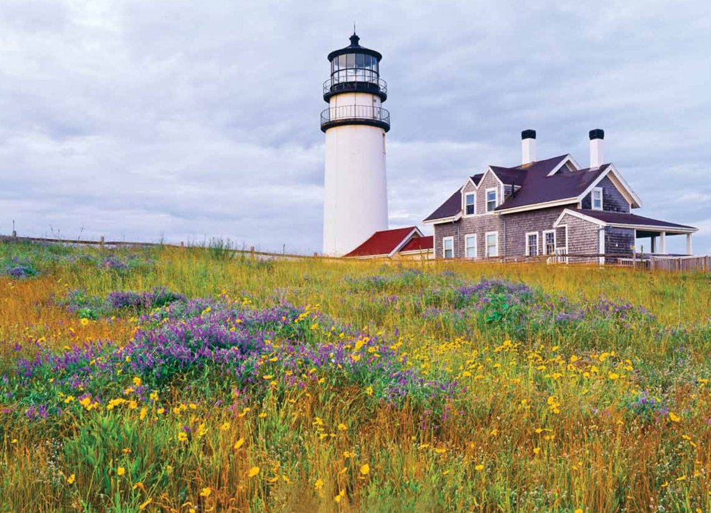 Wildflowers At Cape Cod Light - 1000pc Jigsaw Puzzle (discon)