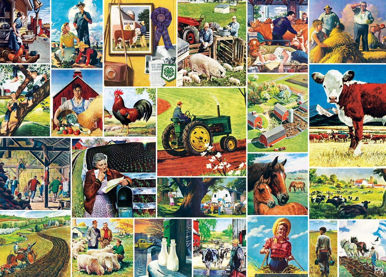 Saturday Evening Post Norman Rockwell: Farmland Collage - 1000pc Jigsaw Puzzle by Masterpieces  			  					NEW