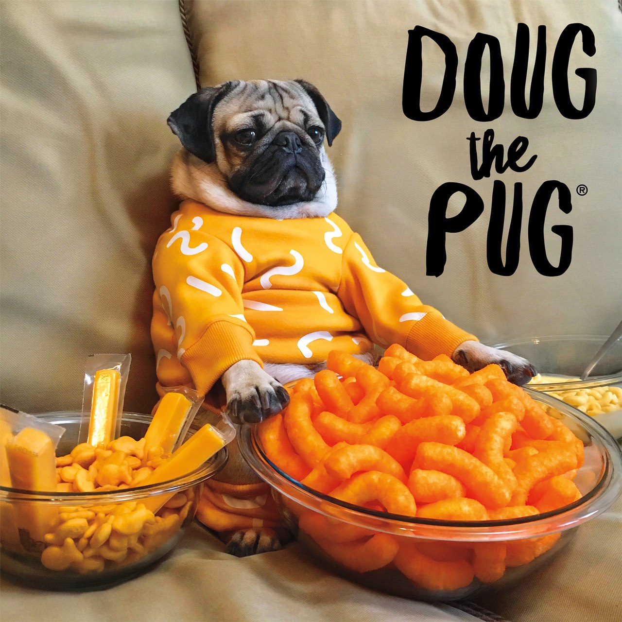 Cheesy Doug - 300pc Large Format Jigsaw Puzzle by Buffalo Games  			  					NEW