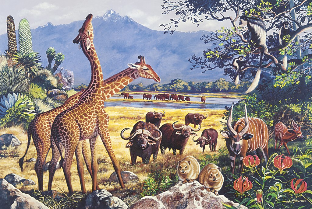 Forest Dreams - 1000pc Jigsaw Puzzle by Tomax